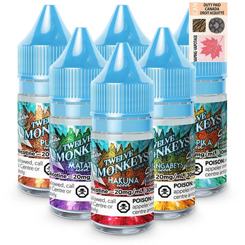 Twelve Monkeys Ice Age E-Liquid 20mg | 10mg