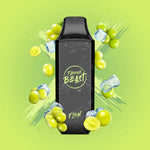 Flavour Beast Flow 5000