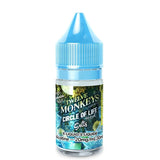Twelve Monkeys Ice Age E-Liquid 20mg | 10mg